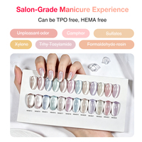 Vernis à ongles gel effet œil de chat transparent 12 couleurs, application en une étape, sans TPO ni HEMA, marque privée, vente en gros