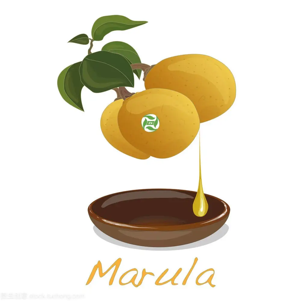 バージン Marula 種子油 100% 純粋な有機コールドプレスバルク卸売