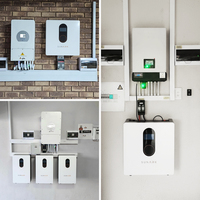 Pack de batteries LiFePO4 modulaire 51,2 V 5-15 kWh, prise en charge parallèle jusqu'à 16 unités, CAN, garantie 10 ans pour projets solaires commerciaux