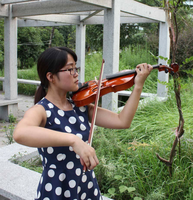Vente en gros d'usine, violons professionnels 4/4, prix des instruments à vendre