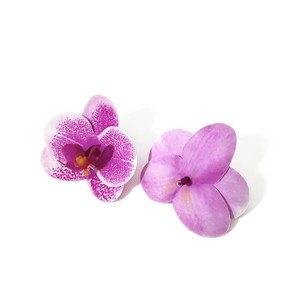 Orquídea Phalaenopsis impresa en 3D de Paulon, bonsái artificial de PVC, adorno decorativo para la decoración del hogar. - Product Image 4