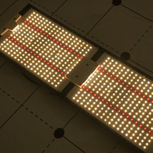 2025 pre-lắp ráp kingbrite bán buôn lm301h mix 660nm 320 wát LED phát triển ánh sáng - Product Image 4