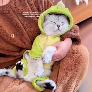 Abbigliamento Invernale per Cani e Altri Animali Domestici: Costume Caldo in Poliestere Felpato con Simpatico Dinosauro Trasformabile - Ideale per Teddy e Bichon - Product Image 2