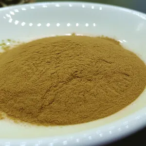 Hot Sale Rosemary Leaf Extract 5% Rosmarinic Acid Powder Rosemary Leaf Extract Powder