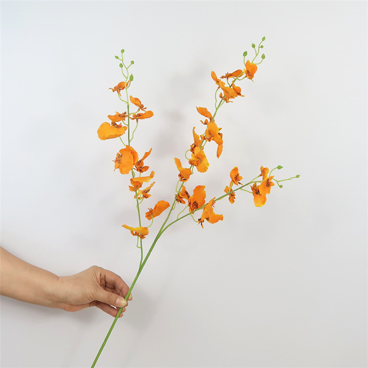 Orange brûlé