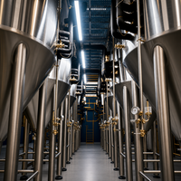 Cuve de Fermentation Conique en Acier Inoxydable Tonsen 5000L (50HL) avec Enveloppe de Refroidissement Unitank pour Brasserie Commerciale