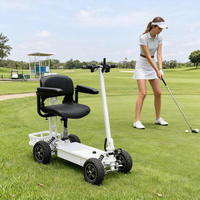Trottinette électrique pliable fiable, capacité de charge 200 kg, écologique, à assistance électrique pour les trajets quotidiens et les balades en ville, autonomie 35 km
