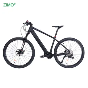 2024 Wholesale Adult Electric Mountain Bike for sale