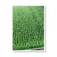 Tapis d'extérieur moderne en herbe dorée, fabriqué à la machine, à poils longs, semelle épaisse, durable, réutilisable, vente en gros directe d'usine