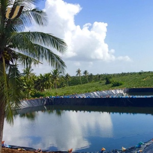 SP personnalisé extérieur pliable stockage <span class=keywords><strong>piscine</strong></span> eau aquarium PE PP tissu tissé pour les enfants - Product Image 4