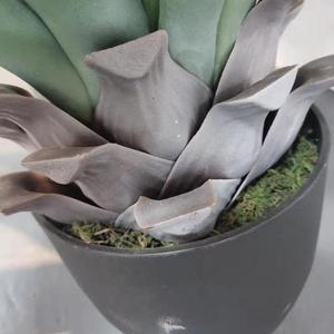 Paisaje de las plantas de <span class=keywords><strong>interior</strong></span> o al aire libre decoración falso plantas de <span class=keywords><strong>Agave</strong></span> - Product Image 4