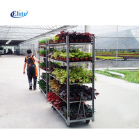 Chariot à fleurs fraîches à quatre roues en acier inoxydable, porte-plantes CC, chariot à fleurs hollandais, OEM personnalisable, capacité de charge de 600 kg