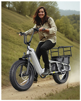 Fat Tire Bicicleta eléctrica para adultos EE. UU. Stock E-bike FEbike Bicicleta eléctrica Batería de litio Bicicleta eléctrica Bicicleta de carga