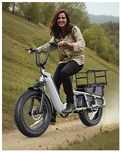 Gros pneu électrique <span class=keywords><strong>E</strong></span> vélo pour adultes USA Stock <span class=keywords><strong>e</strong></span>-<span class=keywords><strong>bike</strong></span> FEbike vélo électrique batterie au Lithium vélo électrique Cargo <span class=keywords><strong>Bike</strong></span> - Product Image 3