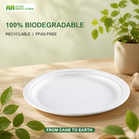 Assiette jetable en bagasse de canne à sucre 8,75/9/10 pouces, compostable, résistante à la chaleur, pour service de fête et dîner, vente en gros