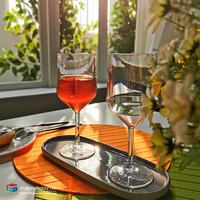 Verre à vin en plastique de 13 oz, SAN Acrylic PC Tritan, verre à vin rouge vintage, verre à vin en plastique réutilisable