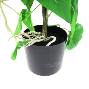 <span class=keywords><strong>Albero</strong></span> di Anthurium Artificiale di Alta Qualità, 60 cm, con Vaso per Decorazione del Soggiorno - Product Image 6