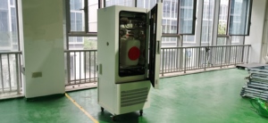 DW-LTH-175 programável temperatura constante umidade câmara incubadora teste climático