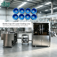 Machine de marquage laser 355 nm pour bouchons de bouteilles, ligne de marquage un article un code, alimentation automatique, inspection et rejet des défauts, traçabilité de la chaîne