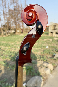 <span class=keywords><strong>Violonchelo</strong></span> HC035 de Arce Flameado Barnizado a Mano en Rojo Marrón Brillante de la Marca Sinomusik - Product Image 5