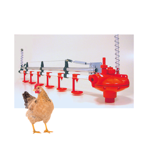 Bebederos y Comederos para Aves de Corral que Minimizan el Desperdicio de Agua, del Mejor Fabricante de Vietnam, en Oferta - Product Image 1