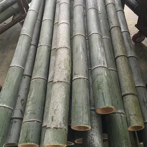 Bamboo stake