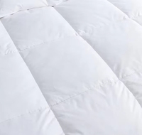 Ensemble de literie sur mesure Super King Size, couette en fibres de duvet avec rembourrage en coton, lavable, haute qualité, pour l'hiver, maison, hôtel