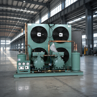 Unité de condensation à compresseur parallèle refroidi par air industriel pour système de réfrigération de congélateur de stockage frigorifique