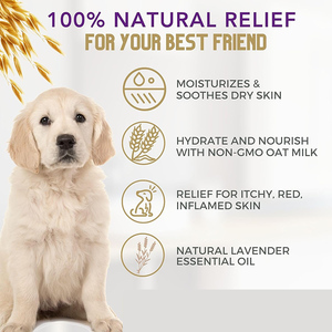 Shampooing désodorisant pour chien hypoallergénique entièrement naturel OEM avec flocons d'avoine et d'aloès apaisant pour peaux sèches et allergiques - Product Image 5