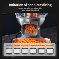 Linkrich Nieuwe Aardappelchipsmachine Multifunctionele Fruit- en Groentesnijder/Schaaf/Hakker voor Thuis en Restaurant Gebruik 220V 200W Motor