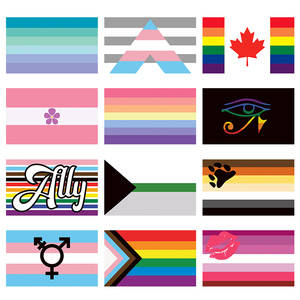 China Venta al por mayor Impresión de doble cara Lgbtq Lesbiana Homosexual Bisexual Arco Iris Bandera Pansexualidad Transgénero Lgbt Orgullo gay - Product Image 4