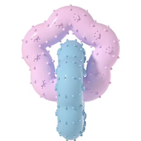 Jouet à mâcher interactif pour chien en forme de fleur de dessin animé, en caoutchouc, étoile à cinq branches, durable, pour le nettoyage des dents, par le fabricant Zhierde