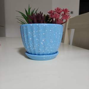 Maceta Rústica de Cerámica Esmaltada de 4 Pulgadas con Orificio de Drenaje, Duradera y Ecológica para Suculentas y Cactus, Estilo Rústico para Interiores/Exteriores - Product Image 4