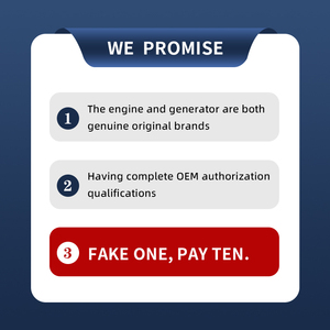 50kw 100kw 1000kw 3mW thế hệ tuabin khí máy phát điện cng khí đốt tự nhiên Máy phát điện Máy phát điện Máy phát điện khí - Product Image 6