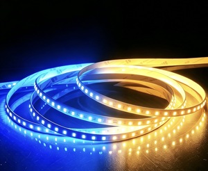 Tira de Luz LED de Bajo Voltaje de 24 V, Doble Color, 2000 K-10000 K, Ajustable, Dorado y Azul Hielo, Regulable, para Exhibición de Joyas, Vitrina de Vino - Product Image 1