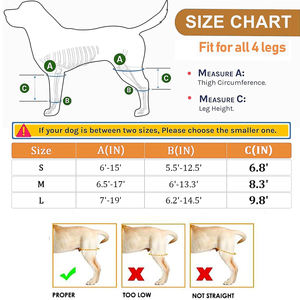 ผ้าพันเข่าสำหรับสุนัขขนาดเล็กและขนาดใหญ่ ช่วยพยุงขาหลังและขาหน้า บรรเทาอาการปวด ฟื้นฟูอาการบาดเจ็บ ปลอกพันเข่าสำหรับสัตว์เลี้ยง - Product Image 2