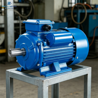 Moteur monophasé 220V 50/60Hz à démarrage par condensateur, série YC/YCL, stable, à service continu, 0,55KW 0,75HP, 4 pôles, IE1, boîtier en fonte