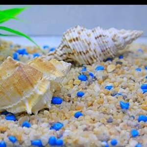 Sac de 100 LBS de média filtrant en quartz de silice de 1 à 3 mm - Sable filtrant écologique pour piscines, aquariums et étangs, certifié ISO9001 - Product Image 5