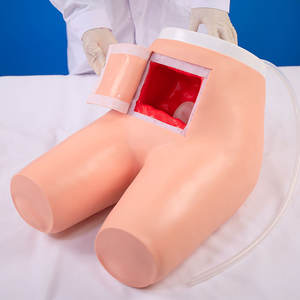 Menselijke Patiëntensimulatoren Die Manikins Klysma En Ondersteunde Ontlasting Trainen Medisch Onderwijsmodel - Product Image 2