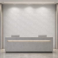 Panneau Acoustique Hexagonal en Feutre Haute Densité pour Animaux de Compagnie, Design Moderne
