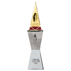 مصنع ذهبي فضي ، بالجملة لكأس قطر لجوائز دوري الأبطال ، جوائز الفريق الفائز - Product Image 2