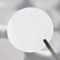 Filtre à membrane quadrillée MCE stérile de laboratoire, 47 mm, 0,45 µm, résistant aux rayons gamma