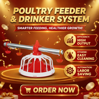 Fabricant de systèmes d'alimentation automatique pour élevages avicoles avec mangeoires à plateau, tuyau d'alimentation, moteur d'entraînement de vis sans fin et trémie pour poulets de chair