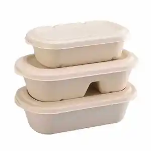 للاستعمال مرة واحدة قابلة للتحلل الحيوي صندوق وجبة الغداء الحاويات للأطعمة السريعة 800 مل 1000 مل حجرتان صندوق بنتو مع غطاء