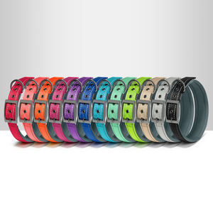 Toptan üretici ayarlanabilir naylon dayanıklı yumuşak yastıklı neopren yansıtıcı Pet köpek tasması ve tasma seti - Product Image 3