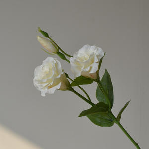 Injoy IJ032 Flores de Seda de Alta Simulación Hechas a Mano, Lisianthus Artificial Moderno Blanco y Morado de 3 Cabezas, para Pascua, Bodas y Decoración del Hogar - Product Image 4