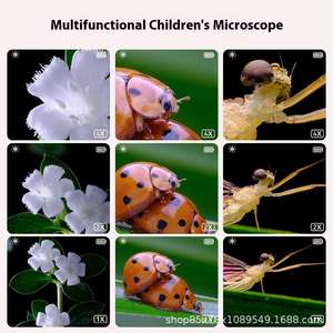 Jouets éducatifs pour enfants, <span class=keywords><strong>microscope</strong></span> électronique portable, écran de 2 pouces, loupe électronique pour l'apprentissage - Dropshipping - Product Image 5
