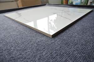 Azulejos de Porcelana Vitrificados de Doble Vidriado, Importados de Dubái, 60x60cm, para Pisos, Venta al Por Mayor - Product Image 5