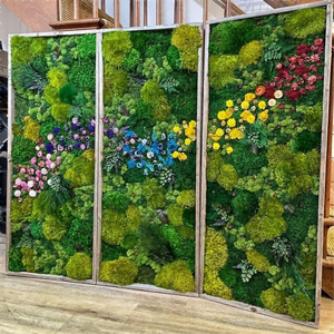 Commercio all'ingrosso di colore verde conserve di fresco <span class=keywords><strong>muschio</strong></span> naturale per le decorazioni murali <span class=keywords><strong>muschio</strong></span> <span class=keywords><strong>artificiale</strong></span> della parete - Product Image 2