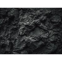 Wallpaper Tekstur Batu Abu-abu Tua Latar Belakang Mural Tekstur Batu Hitam